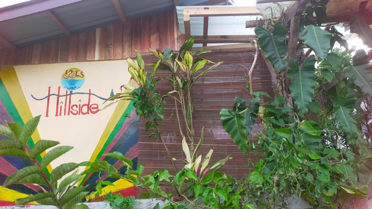 Mil'S Hillside Tourist Inn ซาน วิเซนเต ภายนอก รูปภาพ