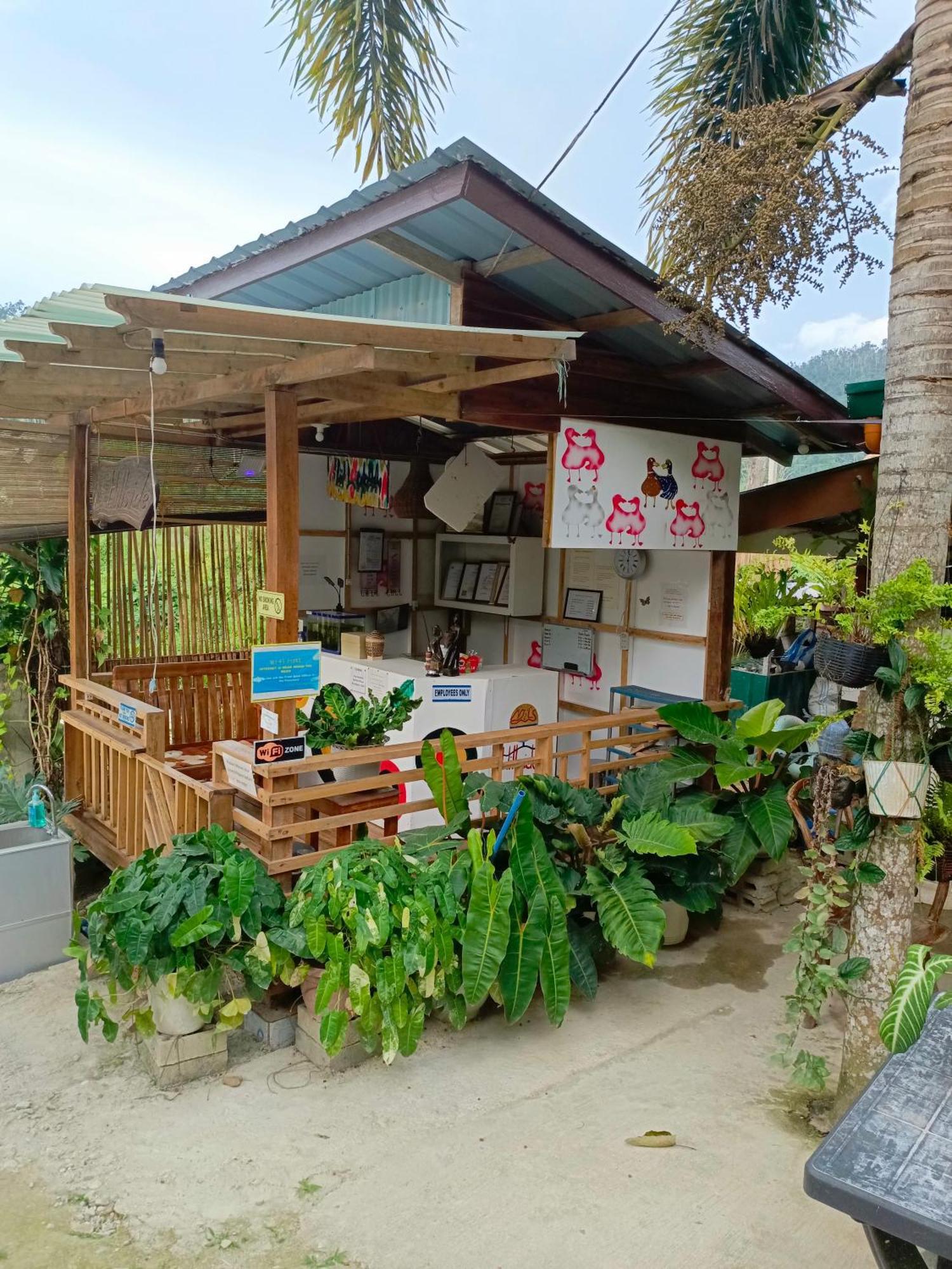 Mil'S Hillside Tourist Inn ซาน วิเซนเต ภายนอก รูปภาพ