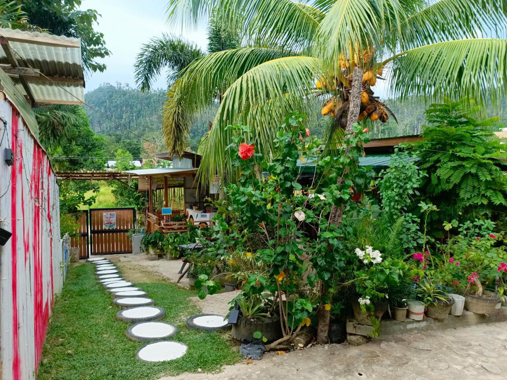 Mil'S Hillside Tourist Inn ซาน วิเซนเต ภายนอก รูปภาพ